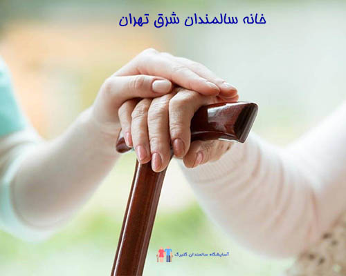 خانه سالمندان شرق تهران به عنوان یک مرکز مهم برای نگهداری سالمندان، نیازهای خاص این گروه از افراد را برآورده می‌کند.